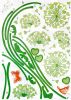 Dandelions - Large Wall Decals Stickers Appliques Home Decor