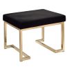 Black and Champagne Ottoman with C Metal Base