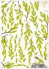 Willow Tree - Large Wall Decals Stickers Appliques Home Decor
