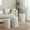 Set of 3 Whitewash Wood Coffee Table with clear and visible tree rings