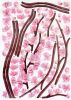 Plum Tree - Large Wall Decals Stickers Appliques Home Decor