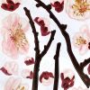 Plum Blossom - Wall Decals Stickers Appliques Home Decor