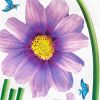 Garish Purple - Wall Decals Stickers Appliques Home Decor