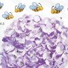Purple Aromatic - Wall Decals Stickers Appliques Home Decor