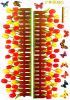 Active Butterfly and Warmth Of Tulips - Wall Decals Stickers Appliques Home Dcor