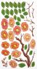 Spring Flowers - Wall Decals Stickers Appliques Home Decor