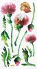 Pretty Flowers - Wall Decals Stickers Appliques Home Decor