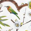 Parrots - Large Wall Decals Stickers Appliques Home Decor