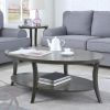 Perth Contemporary Oval Shelf Coffee Table Set, Gray
