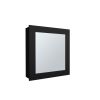 Payson Medicine Cabinet in Melamine With Included Mirror, Black