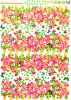 Butterfly Echoes In Blossom - Wall Decals Stickers Appliques Home Dcor