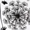 Flying Dandelion - Large Wall Decals Stickers Appliques Home Decor