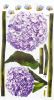 Purple Aromatic - Wall Decals Stickers Appliques Home Decor