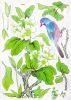 Bird In Leaf L - Large Wall Decals Stickers Appliques Home Decor