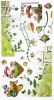 Fairyland - Wall Decals Stickers Appliques Home Decor