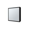 Morenci Medicine Cabinet With Included Mirror And 1 Door, Black