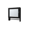 Pine Medicine Cabinet in Melamine With a Towel Bar And Included Mirror, Black