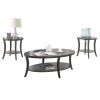 Perth Contemporary Oval Shelf Coffee Table Set, Gray